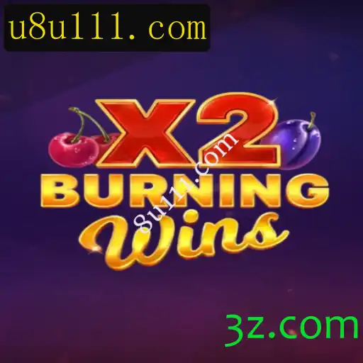 Explorando o Vibrante Mundo de BurningWinsX2: Introdução, Descrição e Regras