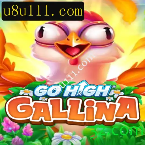 Descubra o Mundo Fascinante de GoHighGallina